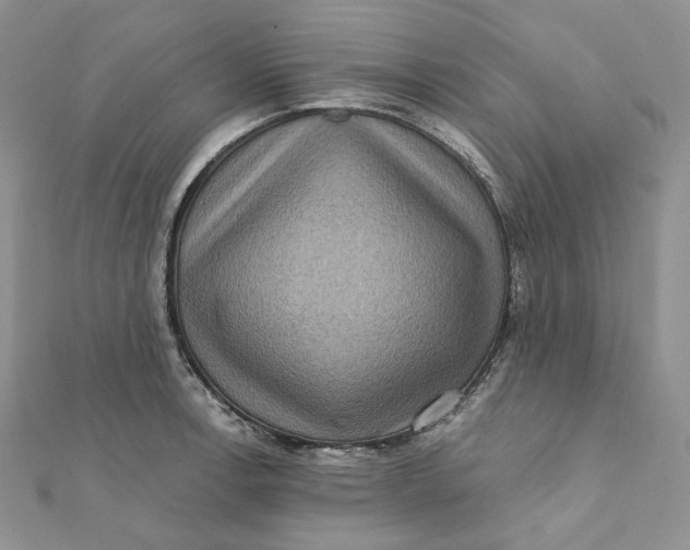 X0000112351138200909031843