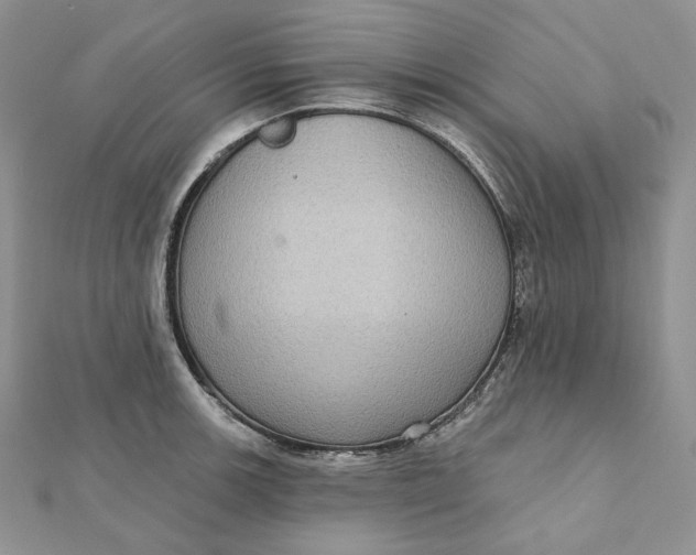 X0000112351139200909031843