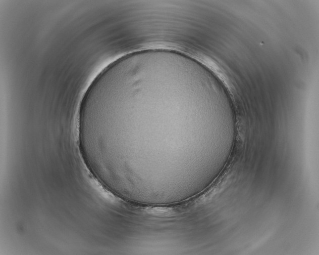 X0000112351140200909031843