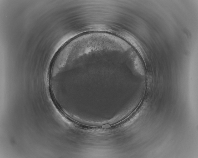 X0000112351141200909031843