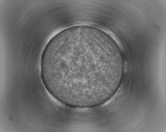 X0000112351143200909031843