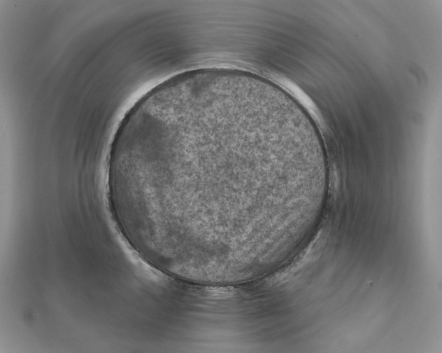 X0000112351144200909031843