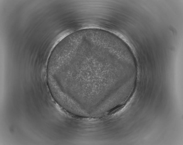 X0000112351145200909031843