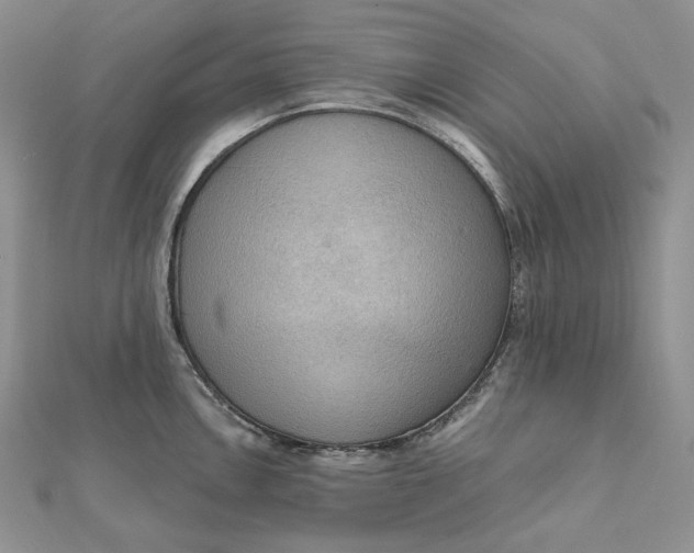 X0000112351146200909031843