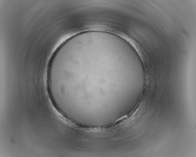 X0000112351147200909031843