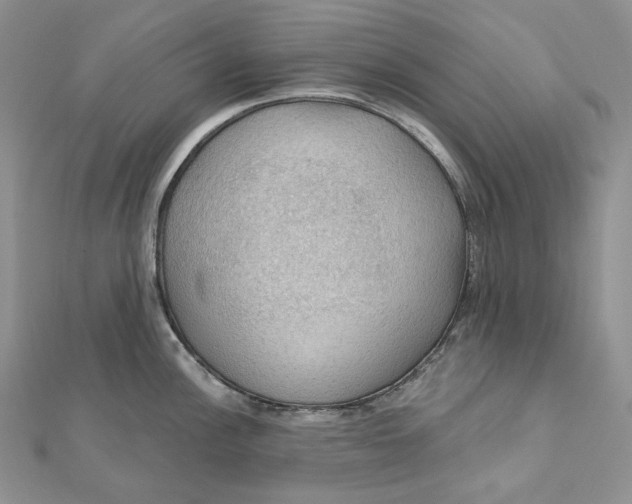 X0000112351148200909031843