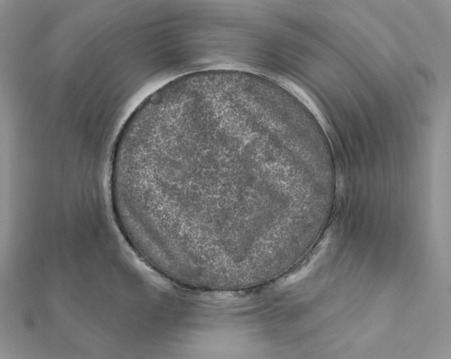 X0000112351149200909031843