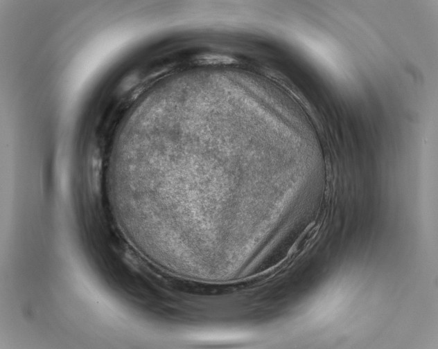 X0000112351151200909031843