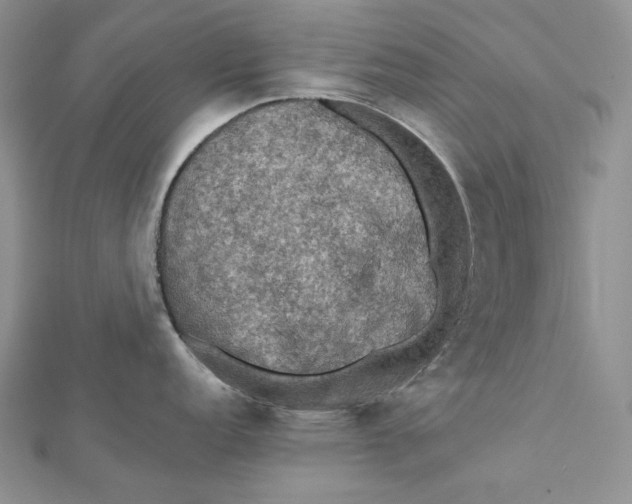 X0000112351152200909031843