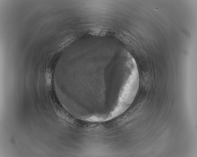 X0000112351154200909031843