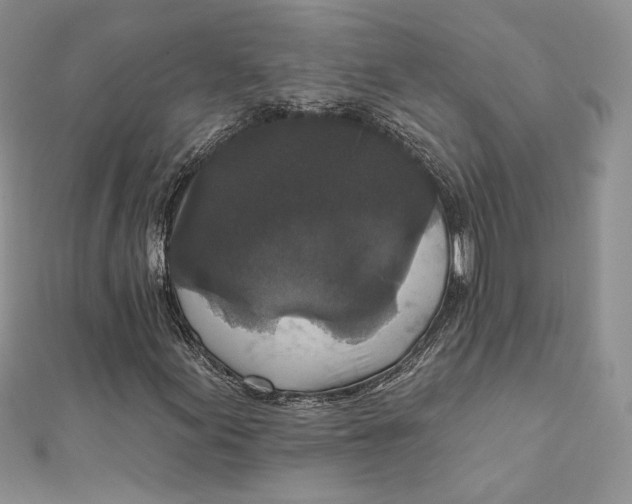 X0000112351155200909031843