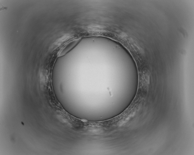 X0000112351157200909031843