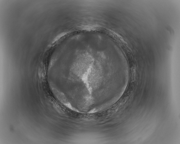 X0000112351158200909031843