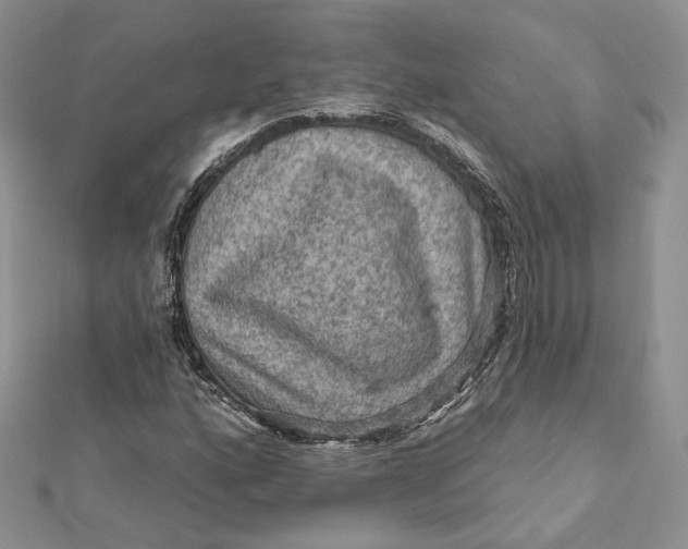 X0000112351160200909031843