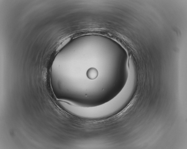 X0000112351161200909031843