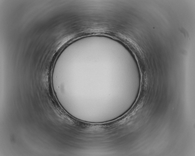 X0000112351162200909031843