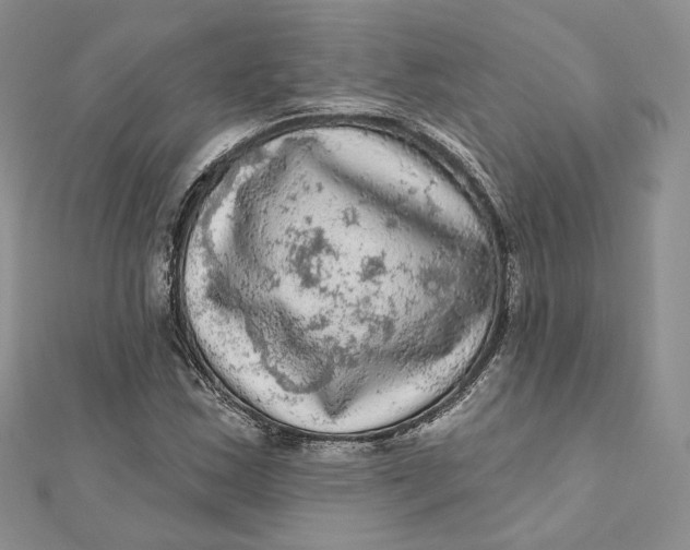 X0000112351163200909031843