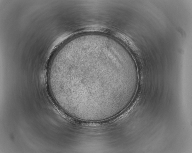 X0000112351164200909031843