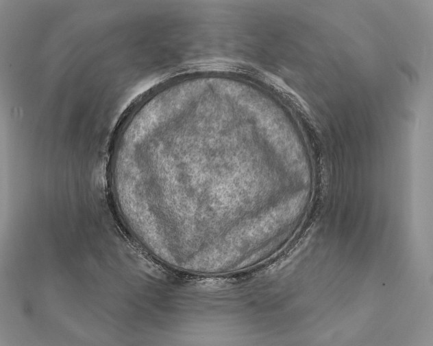 X0000112351166200909031843