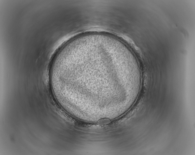 X0000112351167200909031843