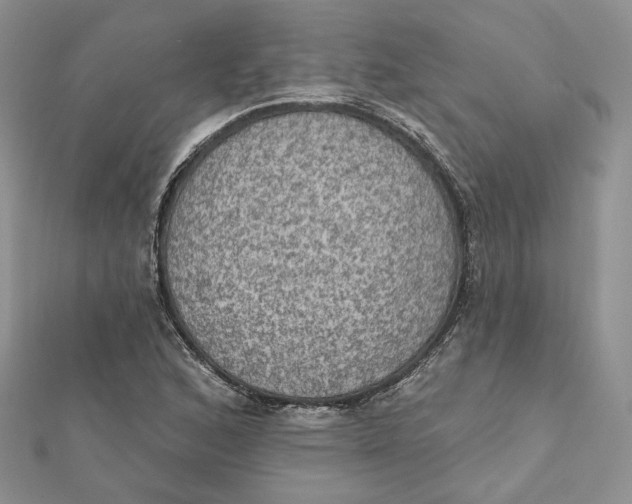 X0000112351168200909031843