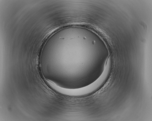 X0000112351169200909031843