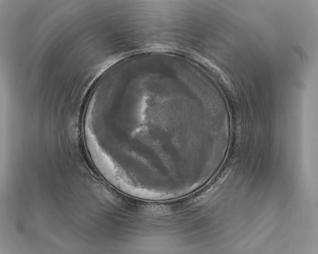 X0000112351170200909031843