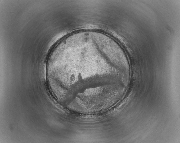 X0000112351171200909031843