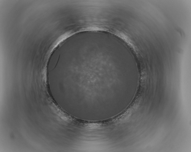 X0000112351173200909031843