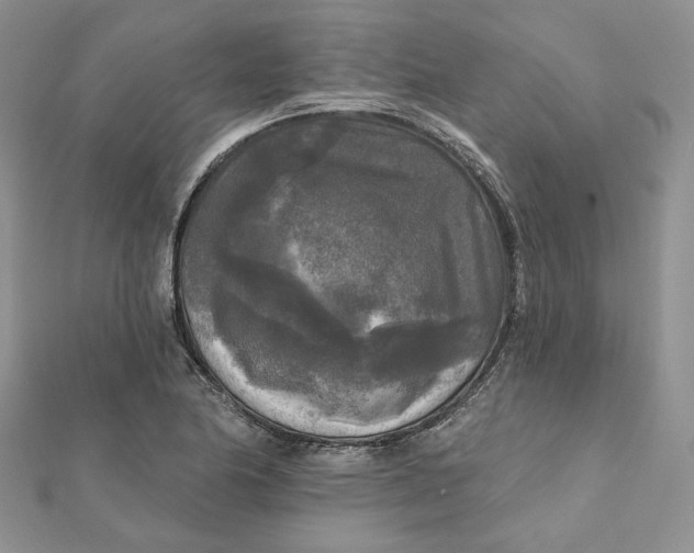 X0000112351174200909031843