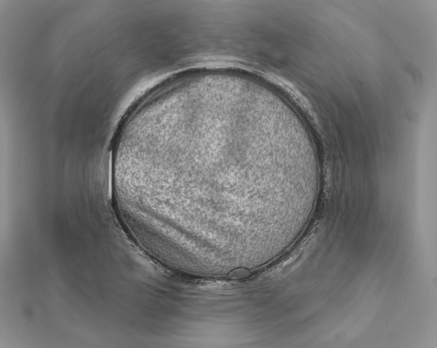 X0000112351175200909031843