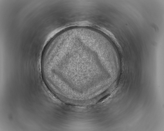 X0000112351176200909031843