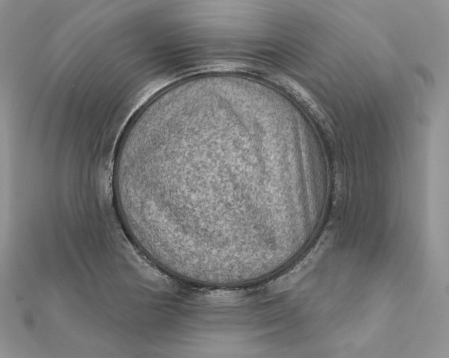 X0000112351178200909031843