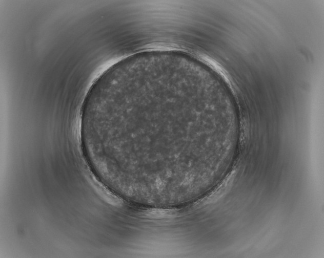 X0000112351179200909031843