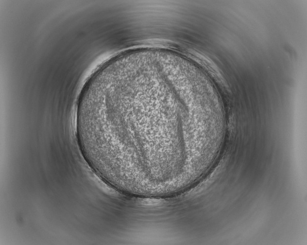 X0000112351180200909031843