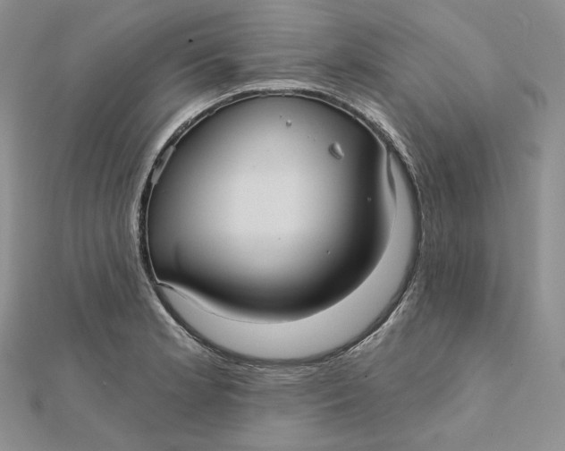 X0000112351181200909031843