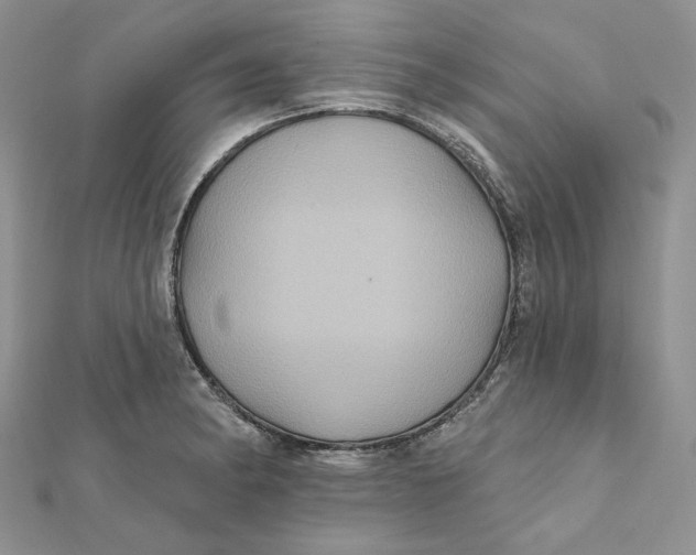 X0000112351182200909031842