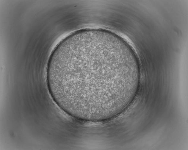 X0000112351183200909031842