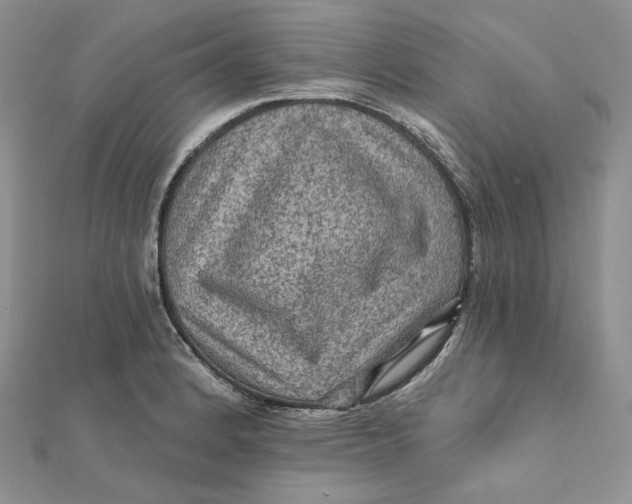 X0000112351184200909031842