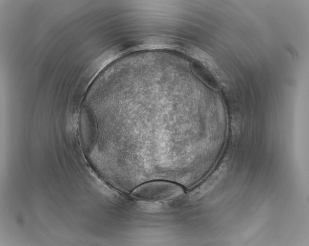 X0000112351185200909031842