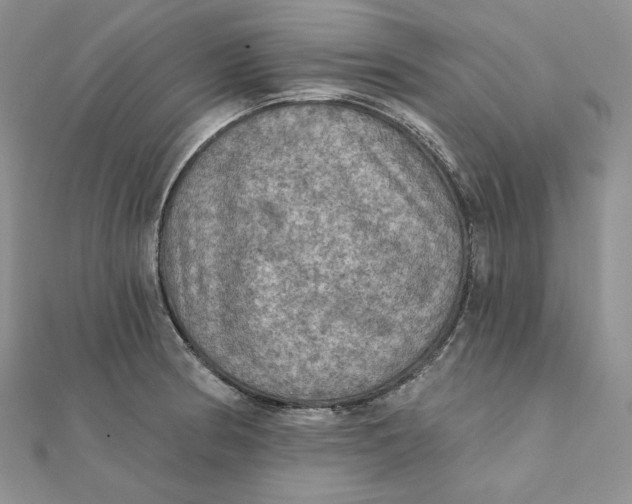 X0000112351186200909031842