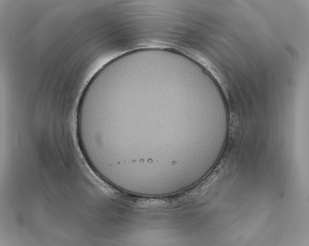 X0000112351187200909031842