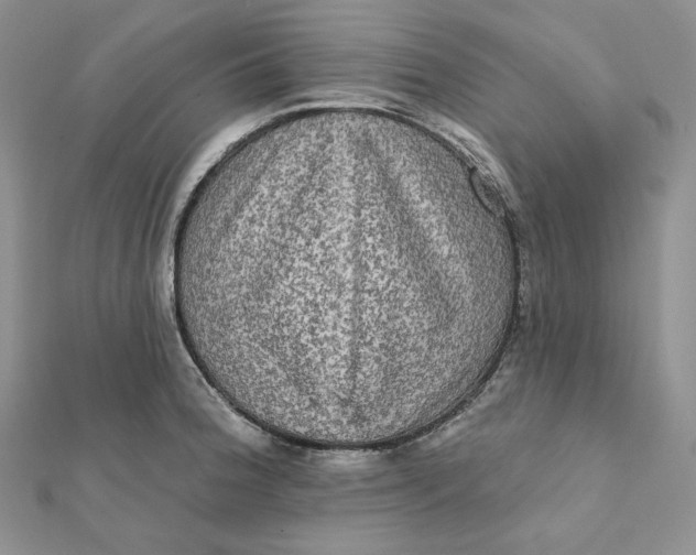 X0000112351188200909031842