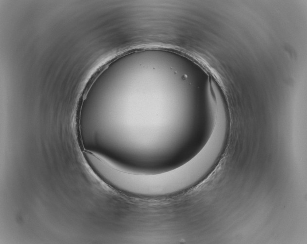 X0000112351189200909031842