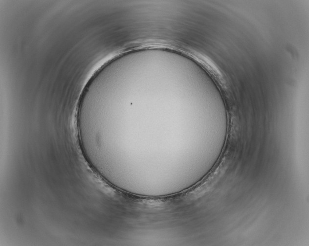 X0000112351190200909031842