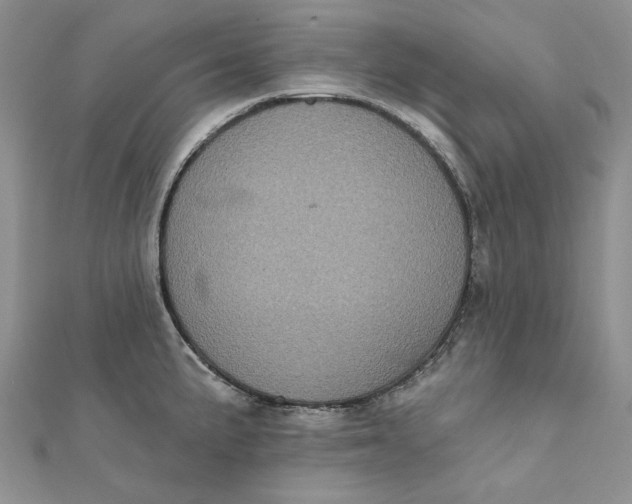 X0000112351191200909031842