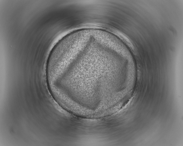 X0000112351192200909031842