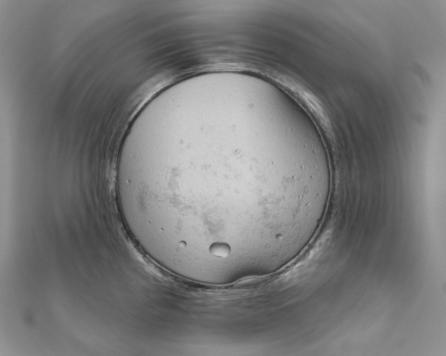 X0000112351193200909031842