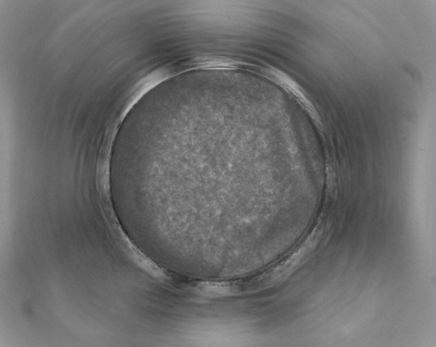 X0000112351194200909031842