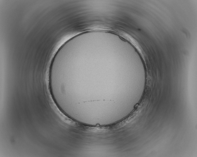 X0000112351195200909031842